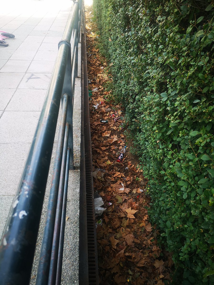 zorygl's tweet photo. @EsmasAlcorcon andamos entre basura en plaza de la calle olimpico Francisco Fernandez Ochoa número 3 https://t.co/G46s6IHq2b