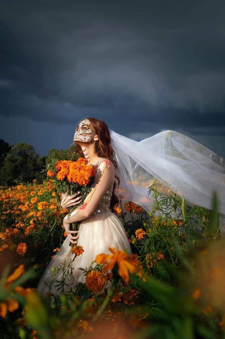 El domingo 1 de noviembre se celebra, como cada año, el Día de Todos los santos. Se honra a los seres queridos que han fallecido. Una jornada en la que los cementerios se inundan de gente para visitar y recordar a los nuestros, adornando las tumbas con flores. <a href="/omaralpuche/">omar alpuche leal</a>