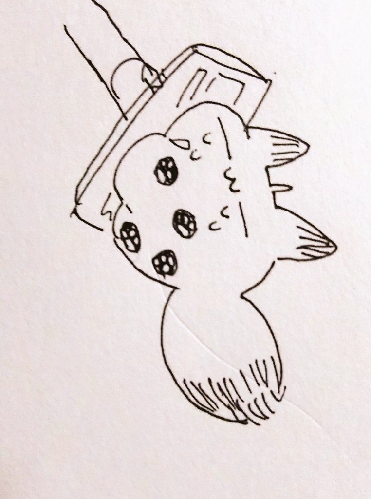 伸びをしてると思ったら掃除機に吸われていたのに抵抗していたふしみボールとなんか変な座り方して元に戻れなくなったふしみボール 