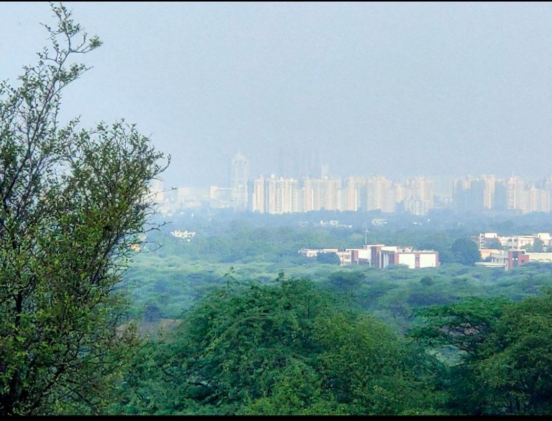 Haryana has lowest forest cover in India (3.6%). We can't have toxic landfills destroying our critical wildlife habitat. 
@PMOIndia @PrakashJavdekar @moefcc @cmohry @CentralIfs @HaryanaTweets
@prernabindra
#RemoveBandhwariLandfill #SaveWildlifeHabitat
#AravalliBachao