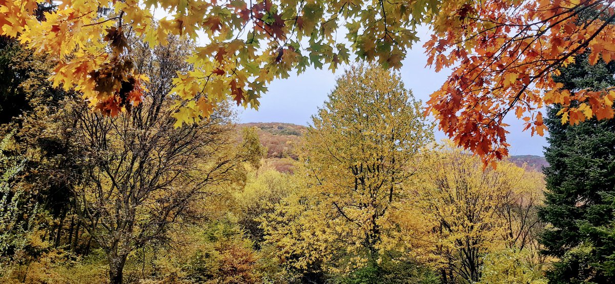 seemonitor's tweet photo. #Vitosha #Витоша https://t.co/Ulflkyac5v