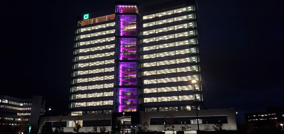 CancerseinQC's tweet image. Pendant #OctobreRose, des bâtiments emblématiques se sont illuminés en rose pour la cause 💡💕
Merci pour votre précieux soutien :
@SATmontreal 
@complexeDesj
Hôtel de @villedelavalqc 

#cancerdusein #BreastCancerAwarenessMonth