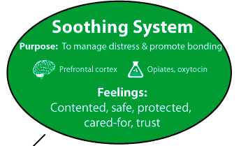 However, it was never going to be enoughOur soothing system is predicated on varied and consistent human contact. It evolved to help us bond and form communitiesEven if you are an introvert, we all need human contact to stay in balance