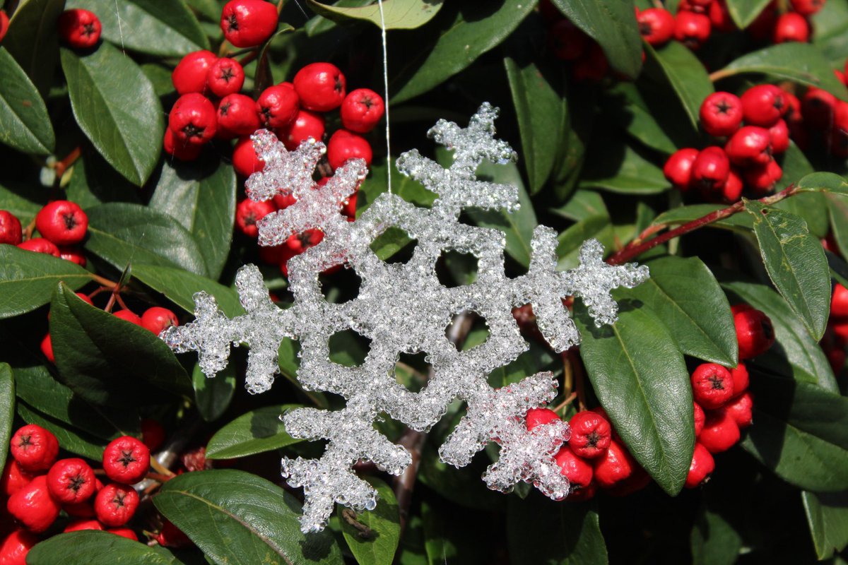 Thread: This Christmas choose locally made gifts. This curated list reflects important Irish artists & craftspeople, whose works are unique, to celebrate the holiday season. In buying from these talented people you are helping keep art & crafts alive! Give a meaningful gift!