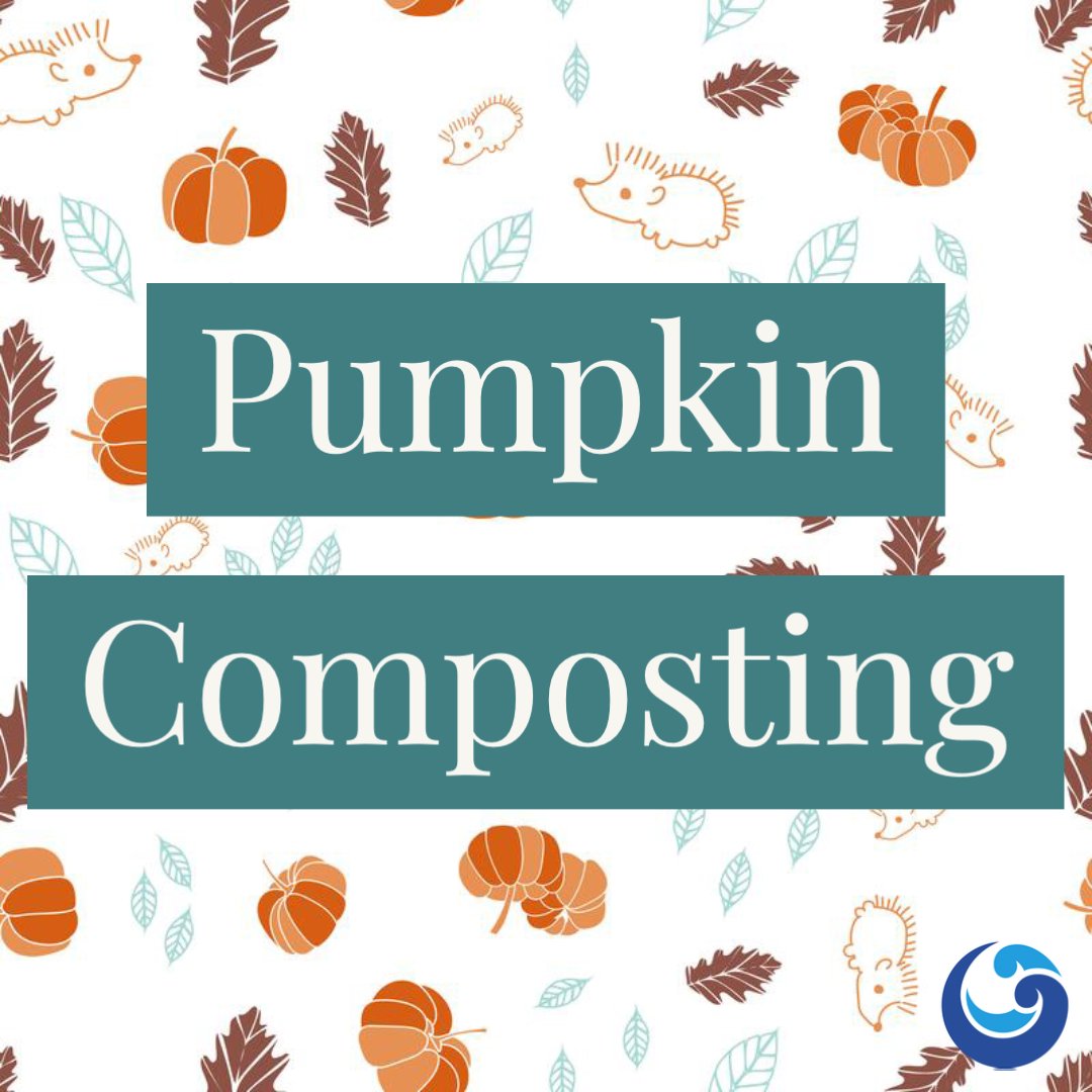 deb_vote's tweet photo. Oh, no the Great Pumpkin vigil is over! Now what?

You can throw him in the trash bin OR you can compost him! Learn how with Aaron Hiday from EGLE, and visit https://t.co/2cRMLgQOie.

https://t.co/Tq0WB1CEdK https://t.co/cM05mVjOml