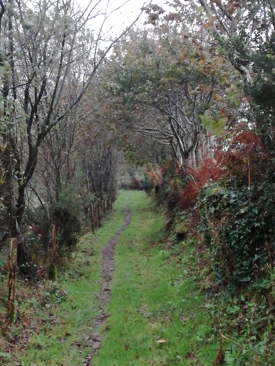 Qui dit #confinement dit balade à moins d'1 km. L'occasion d'admirer les couleurs de l' #automne