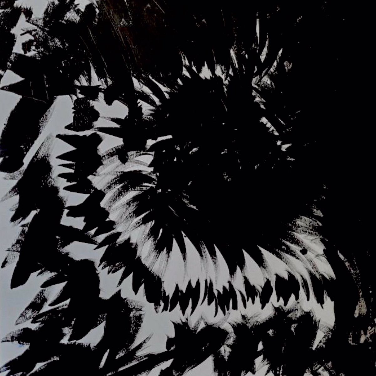 michael 🇵🇸 tweet media