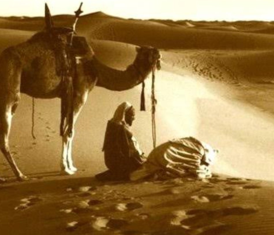 The Bedouins used to perform a specific morning prayer of thanks, for success in their business and whatever goods they were selling. The prayer was to fall into the act of prostration and/or "Sujood"This was quite common since Hejaz was a trade centre in the Arab world then.