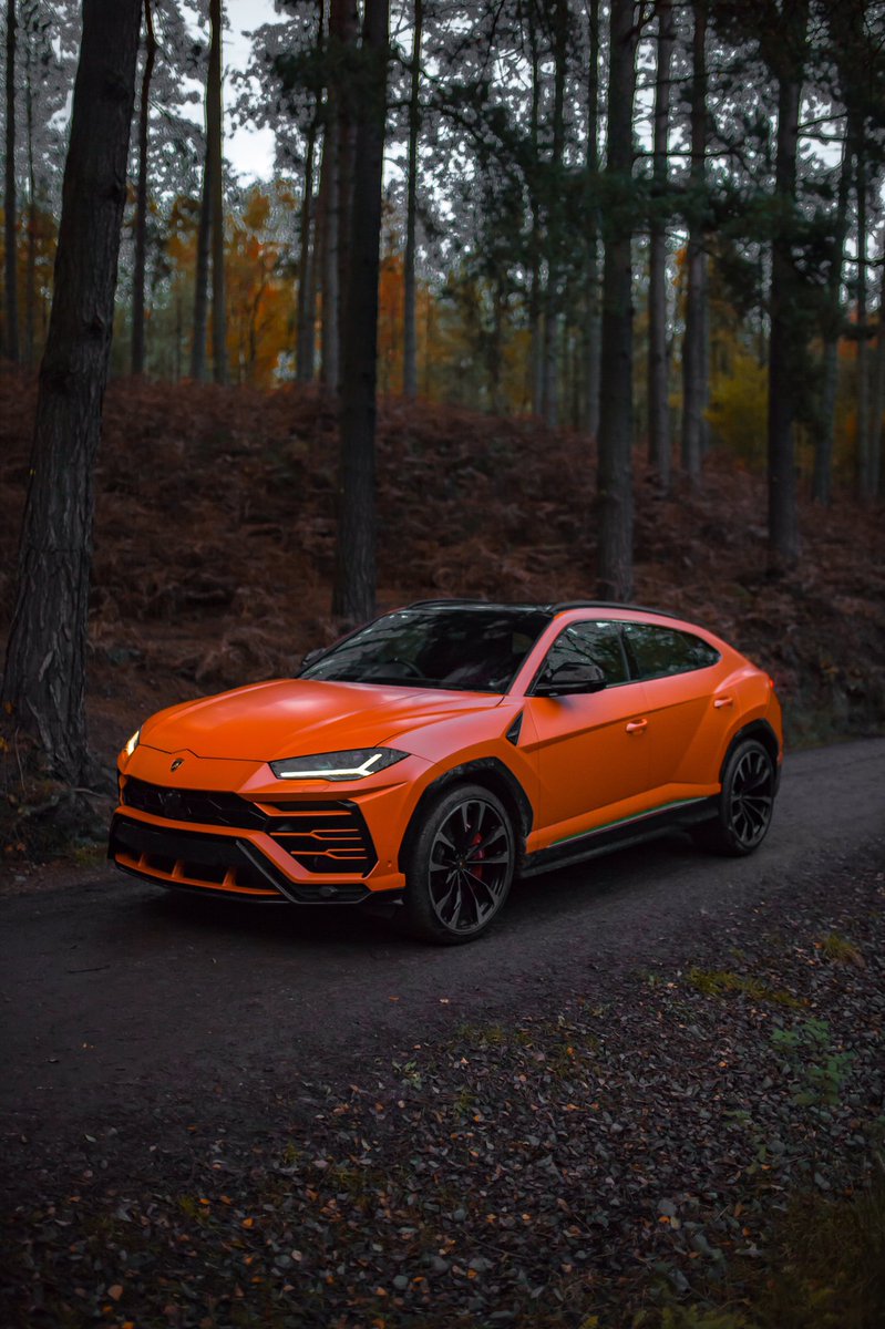 N O V E M B E R is the month to REMIND us to be THANKFUL for the many POSITIVE things happening in our life. 

#lamborghini #urus #sincewemadeitpossible