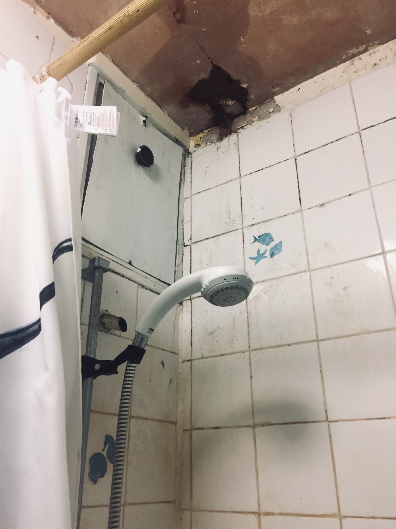 Lindsay Allaker on Twitter "It looks like our upstairs neighbour is