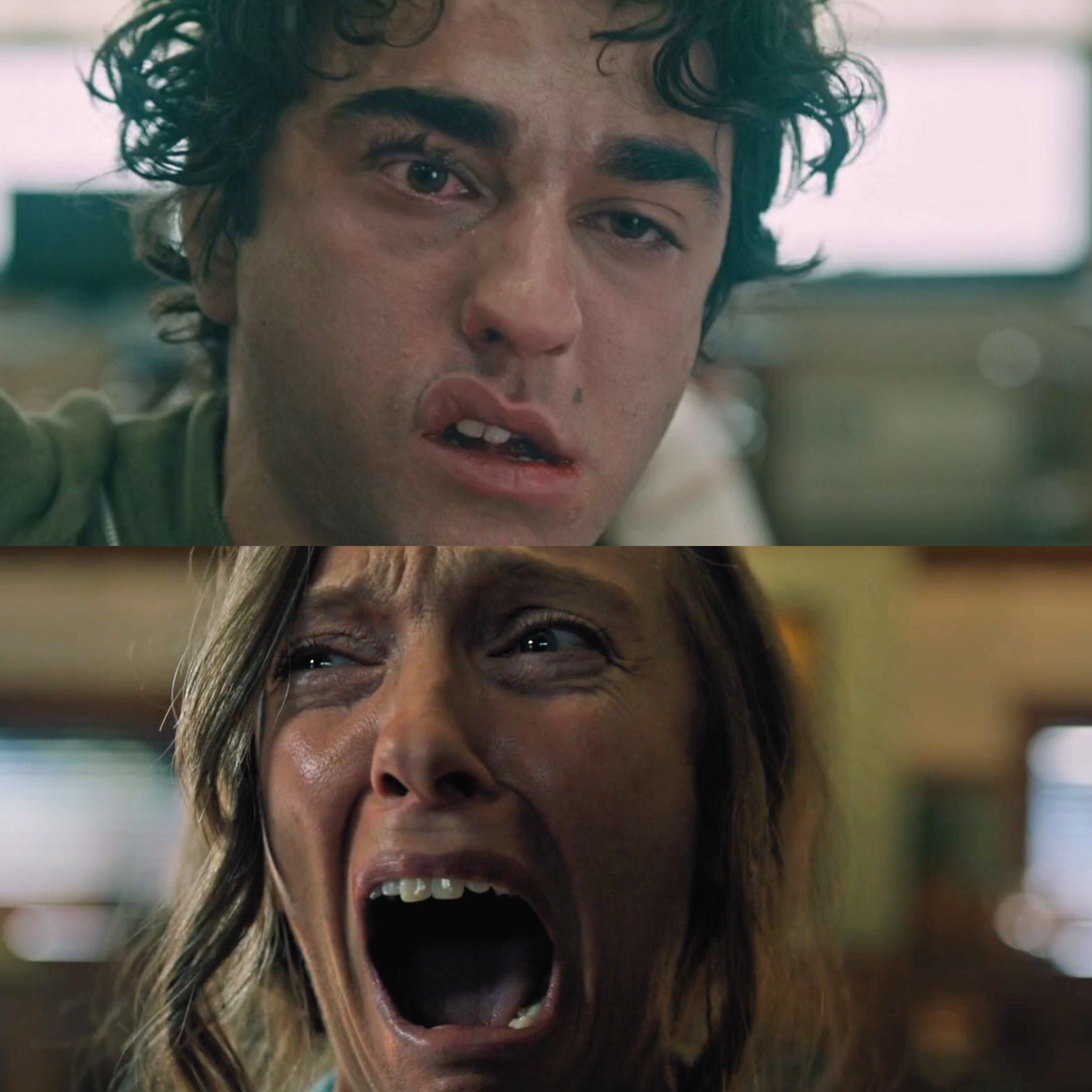 Happy birthday, Alex Wolff and Toni Collette! 