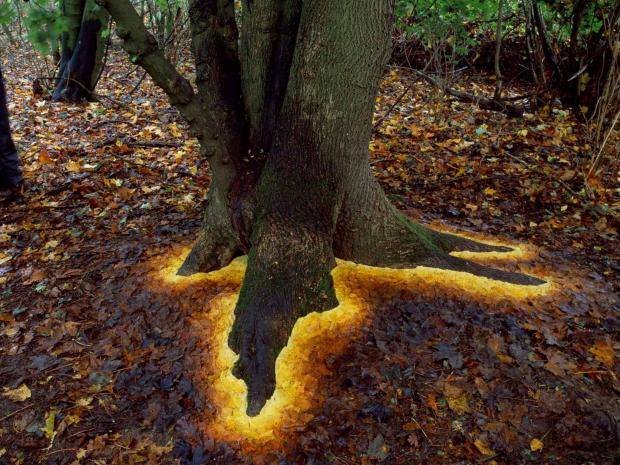 sueveneer's tweet photo. leaf art by one of my favourite artists, Andy Goldsworthy https://t.co/xmI0Q2hfIX