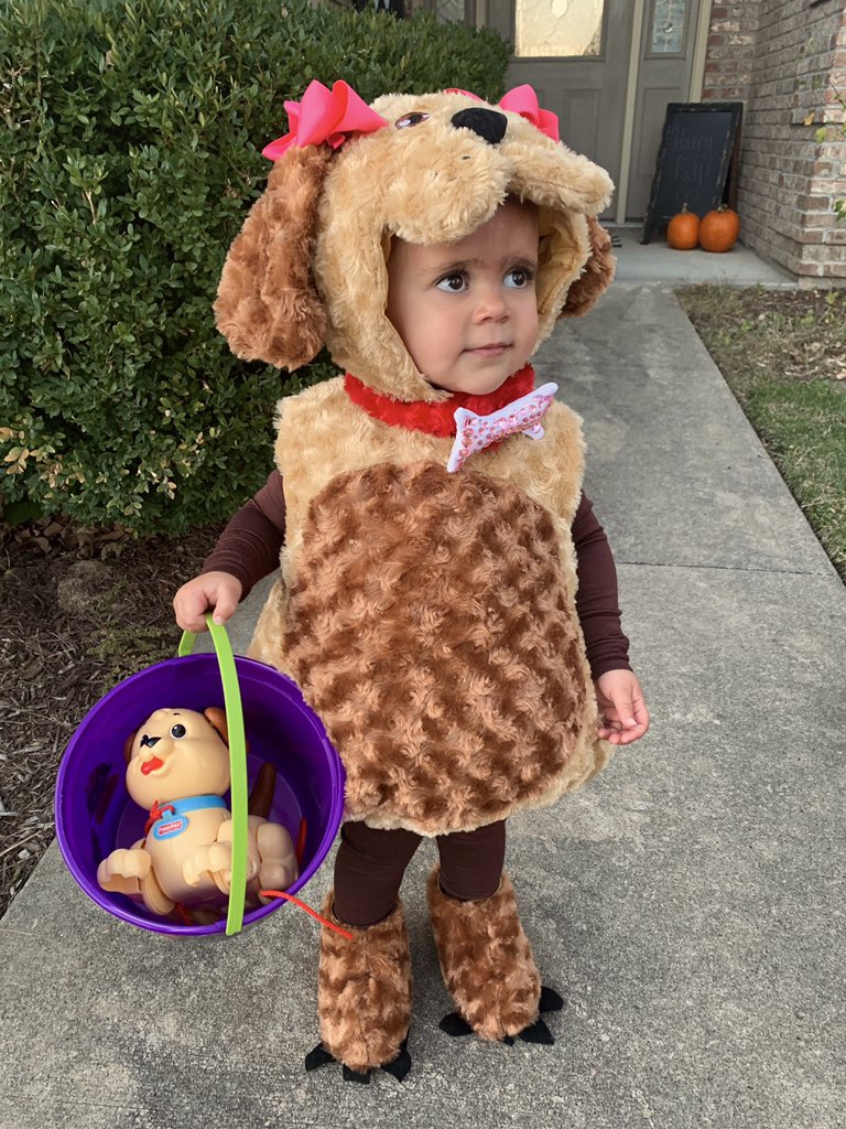 conniedaviss's tweet photo. 🐶🥺 just when I thought she couldn’t get any sweeter https://t.co/wtBfAS7wmo