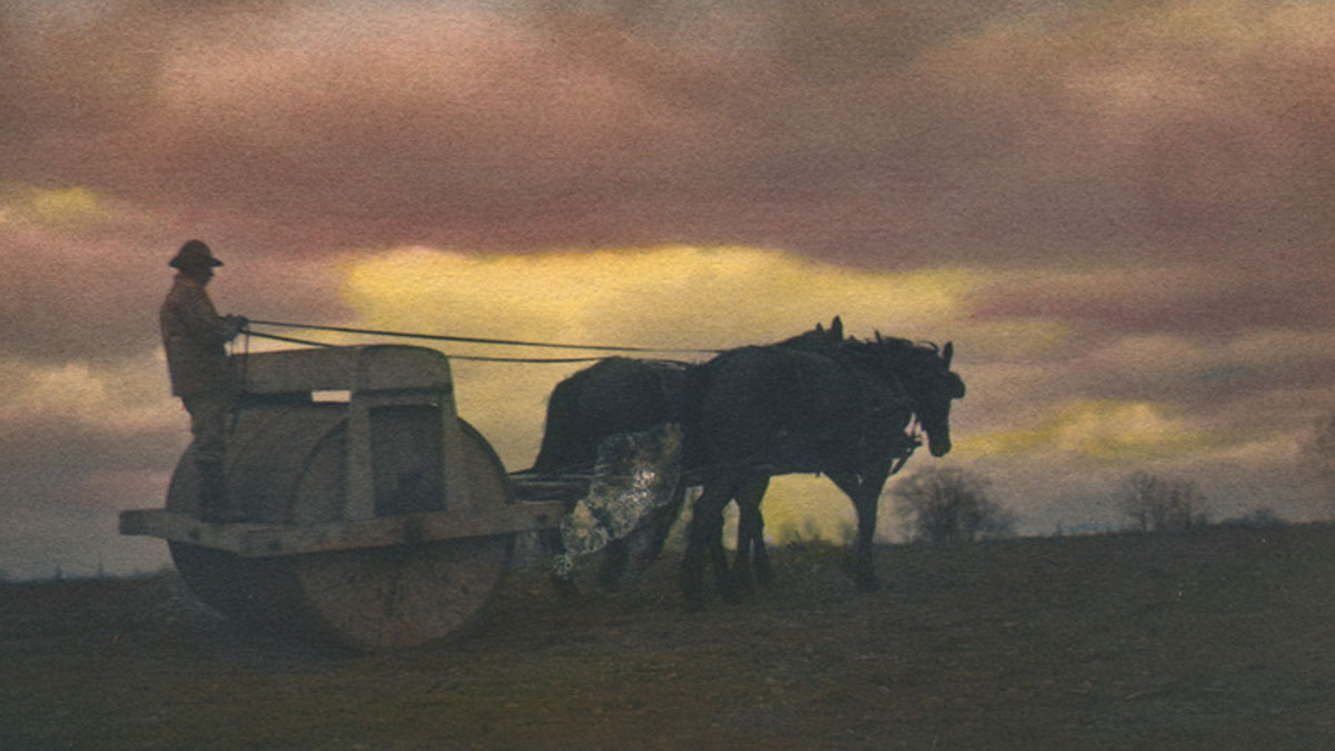 PhotoSeeds's tweet photo. American photographer Frederick Britton Hodges was a journalist, poet, and naturalist. In 1915 he wrote the month of November could be one: “in which we cast out the selfish intrusions that will creep in and occupy some of the valuable space in our minds”. https://t.co/t0Z2SHWk1T https://t.co/jM5jNtOj6G