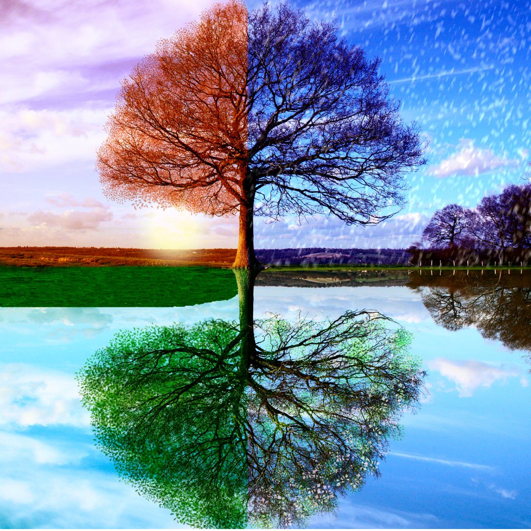It's always nice to see the seasons change... and in tropical astrology, we can see the seasons change through the signs! In astrology, there are three modalities: cardinal, fixed, and mutable.

Which modality is most prominent in your natal chart?