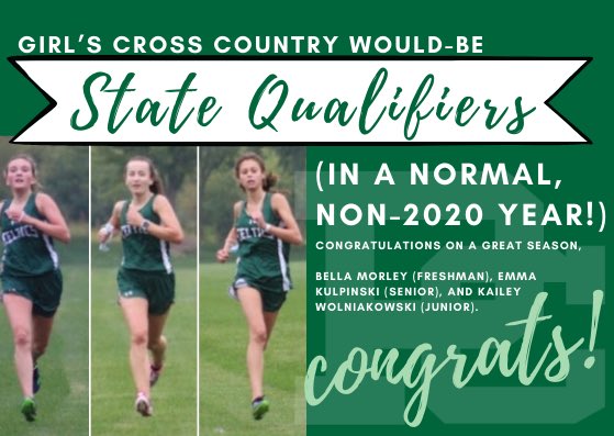 PCHS_Celtics's tweet photo. There may not be a post-season, but the #PCHSGirlsCrossCountry team gave it their all! Congratulations to Bella Morley, Emma Kulpinski, and Kailey Wolniakowski, who would have qualified for state! https://t.co/Bx4ae2dL0T