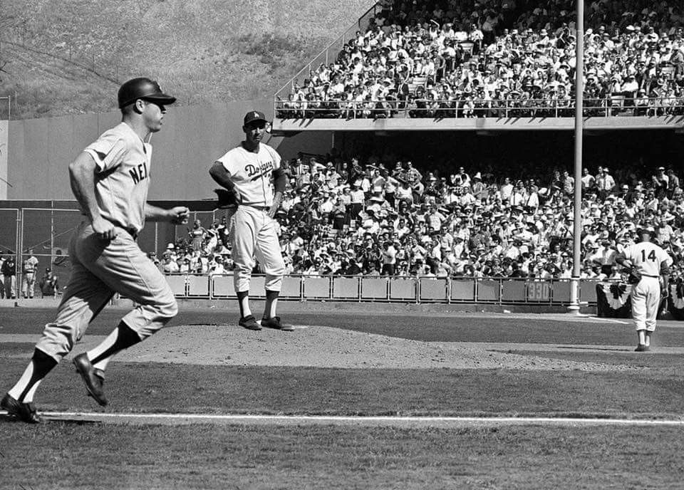 Baseball In Pics tweet media