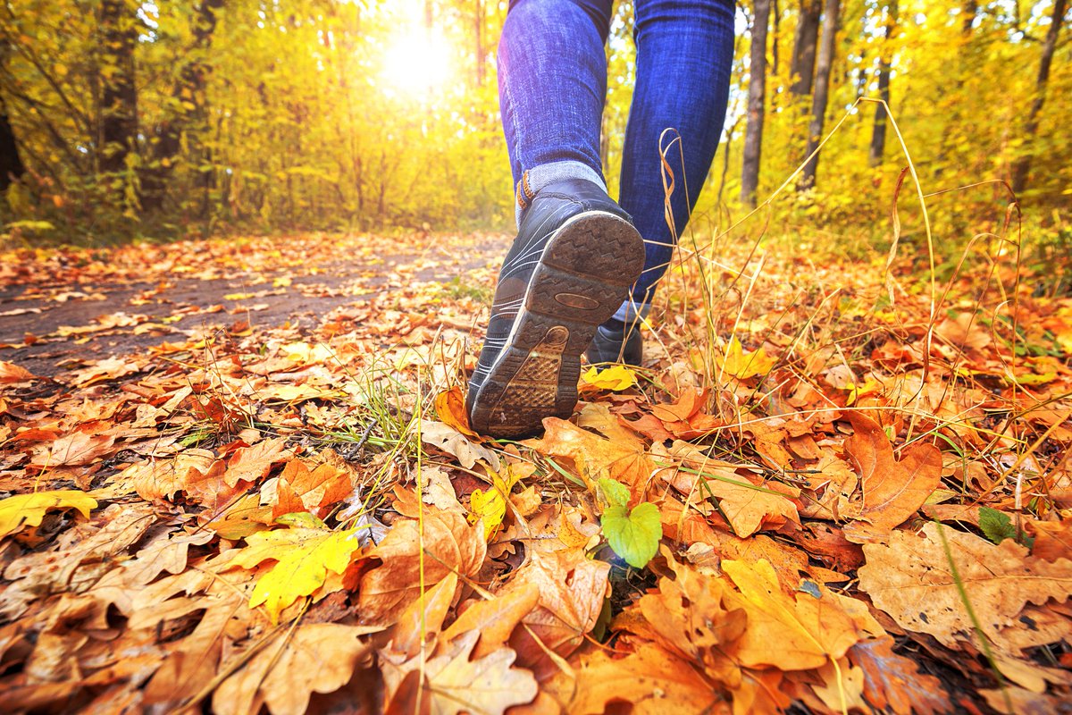 CityKitchener's tweet photo. Nurture your body & mind on a guided walk on Walter Bean Trail on Sat. Nov. 14 at 9:30 a.m.
Free activity! Register today: https://t.co/8vvTAjdhqP
#KitchenerTrails https://t.co/Id0UjONWTM