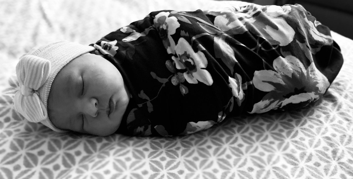 RaeAnne Johnson tweet media