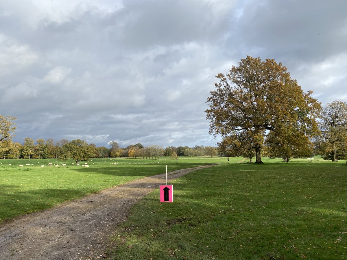 Wendy Randall tweet media