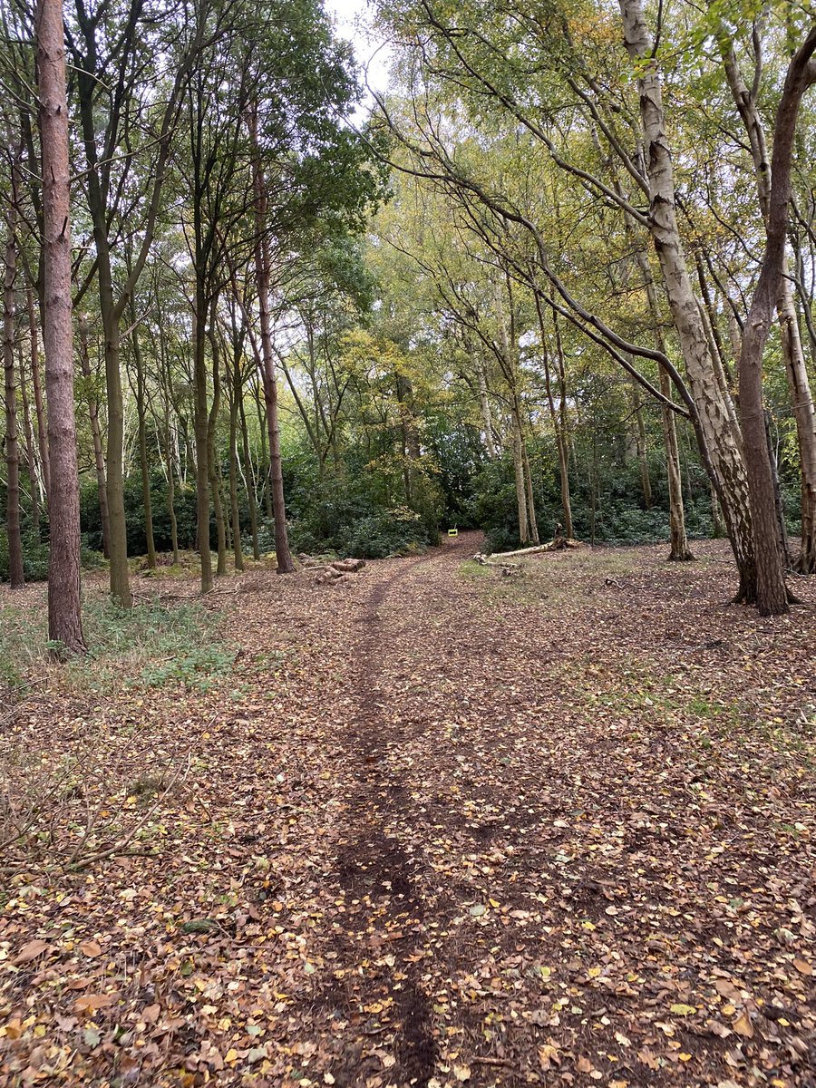 Wendy Randall tweet media