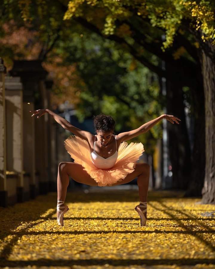 questar1959rep1's tweet photo. KAMALA EMBRACING THE BEAUTY OF FALL photography by @thnwblk_
dancer @kamala_saara
โโโ
#blackgirlmagic #fallbeauty #danceandlive #browngirlsdoballet #thnwblk #blackart365 https://t.co/6LWbmZyh1K