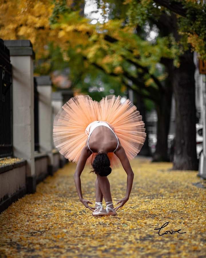 questar1959rep1's tweet photo. KAMALA EMBRACING THE BEAUTY OF FALL photography by @thnwblk_
dancer @kamala_saara
โโโ
#blackgirlmagic #fallbeauty #danceandlive #browngirlsdoballet #thnwblk #blackart365 https://t.co/6LWbmZyh1K