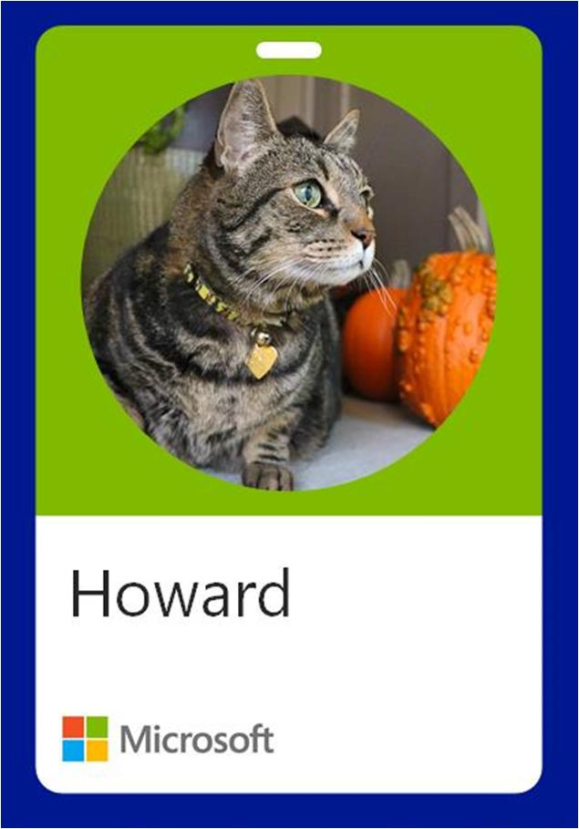 Okay, fine. You can have an extra day. Get those pics in by Monday at Midnight PST (that's tomorrow) or miss your chance to have your cat in the 2021 calendar. Current Microsofties, alumni - all badge colors welcome.
#CatsOfMicrosoft #SundayFunday