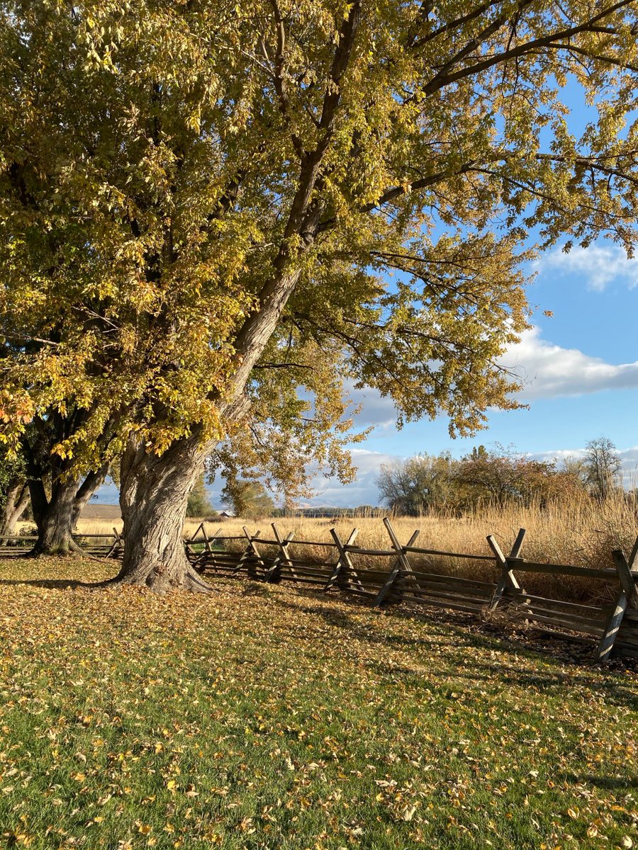 Starting today(11/1/20) the Whitman Mission Visitor Center will be open Saturday-Sunday from 9:00am-4:00pm. The trails, bathrooms, and picnic area are open daily. Water fountains have been winterized for the season.

#RecreateResponsibly