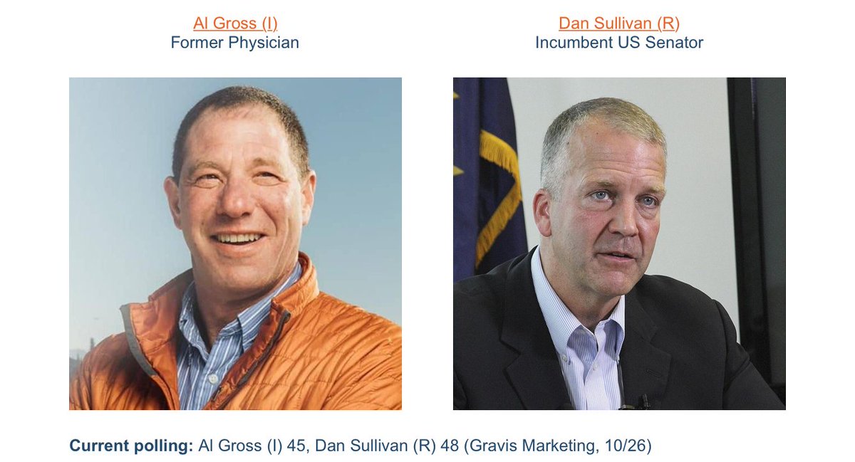 G2Gconsulting's tweet photo. Who will control the US Senate? #Elections2020 #RacesToWatch -- GA, AZ, AK https://t.co/CtbNjfIOek