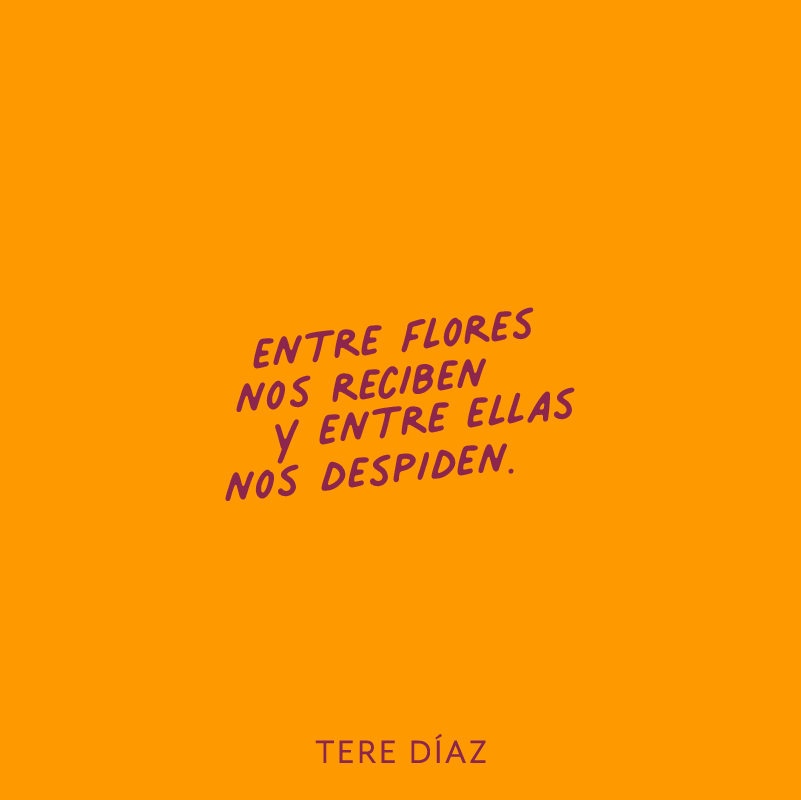 tedisen's tweet photo. Que este Día de Muertos nos recuerde que la vida es para vivirla y disfrutarla. Les comparto mis frases favoritas: ¿Cual es la suya? https://t.co/RPfFWD0fn2