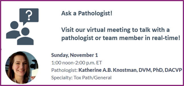 StageBio_CRO's tweet photo. Today is our last day at ACVP2020. Our featured pathologist Katherine A.B. Knostman, DVM, PhD, DACVP will be in our virtual chat room today from 1-2pm ET. Dr. Knostman specialty is ToxPath, join the discussion! #ACVPVirtual2020 https://t.co/mUFl0UauNH