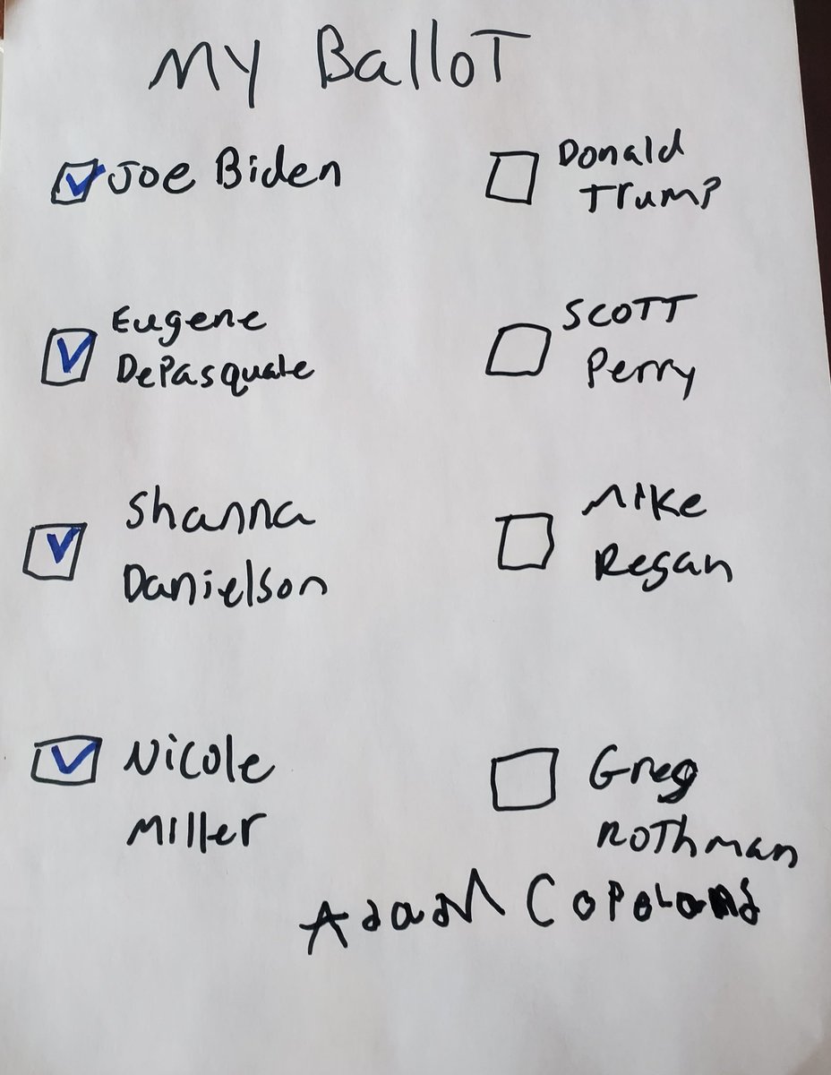 heathco63's tweet photo. He can't vote yet, but my 6 y/o insisted on #VoteByMail. Since he's in first grade, he strongly believes that #GunSenseCandidates represent his interests. #vote 4 @JoeBiden @DePasqualePA @shannaforPA &amp; @VoteNicMiller https://t.co/arqAYUCTn6