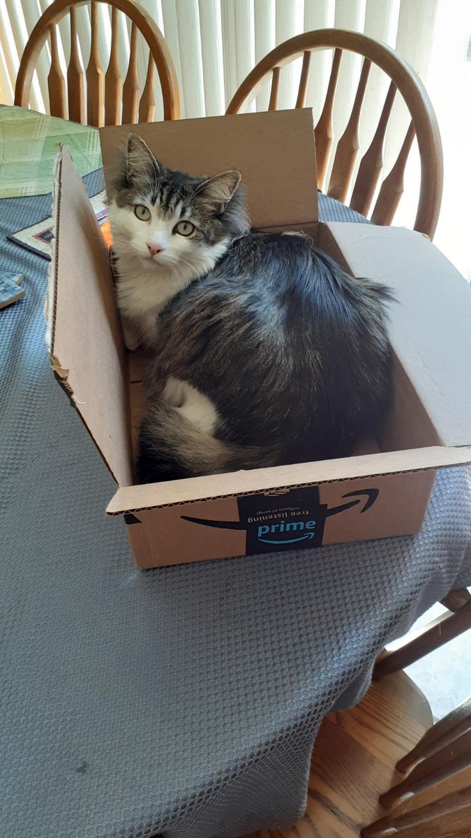 I'm not on the table. I'm in my box which just happens to be on the table.