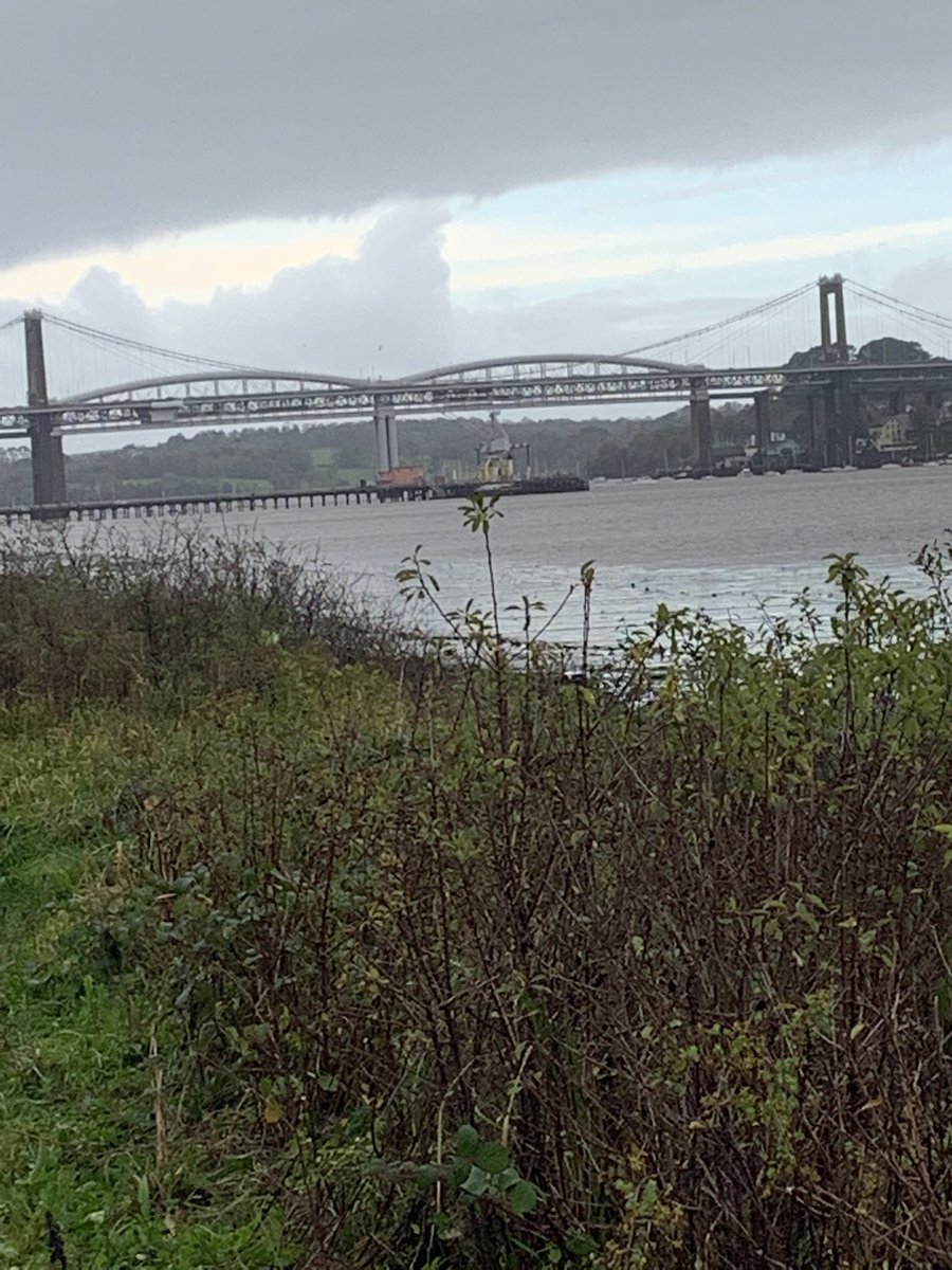 We did go allaway to da Tamar bridgiz on ower wark.  #newbridge #brunelbridge #rivertamar #devoncornwall