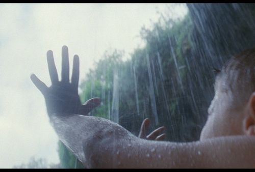 2. "The Tree of Life" (director Terrence Malick, DP Emmanuel Lubezki)  http://bit.ly/3oMSd9y 