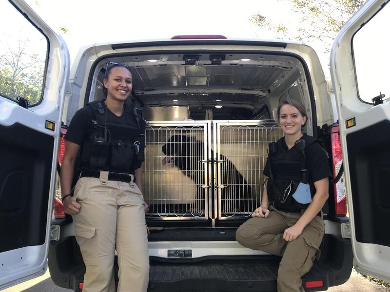 Brian J Wood tweet media