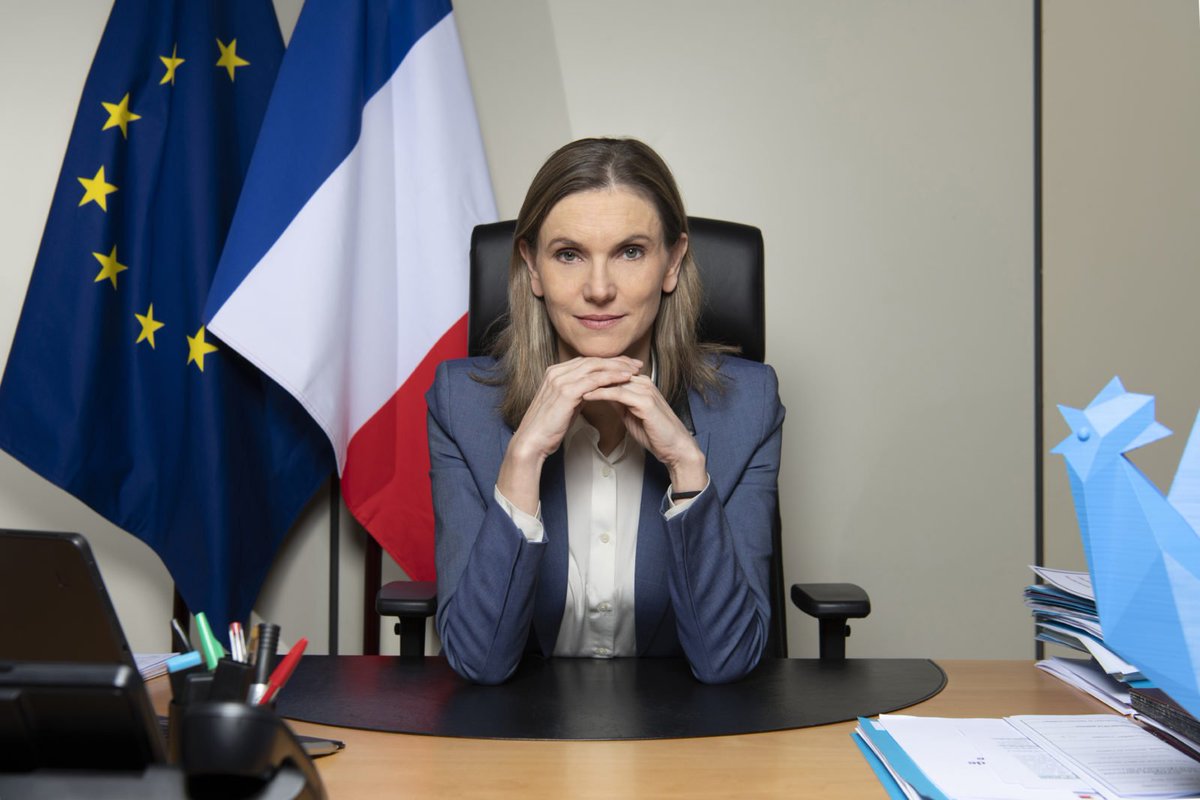 Pour saisir le Conseil constit, il faut un recours signé par 60 députés ou 60 sénateurs, ce que s'apprêtent à faire ceux de gauche. C'est là qu'intervient la ministre de notre histoire, Agnès Pannier-Runacher (no joke, elle a vraiment choisi cette photo evil lord pour une itw)