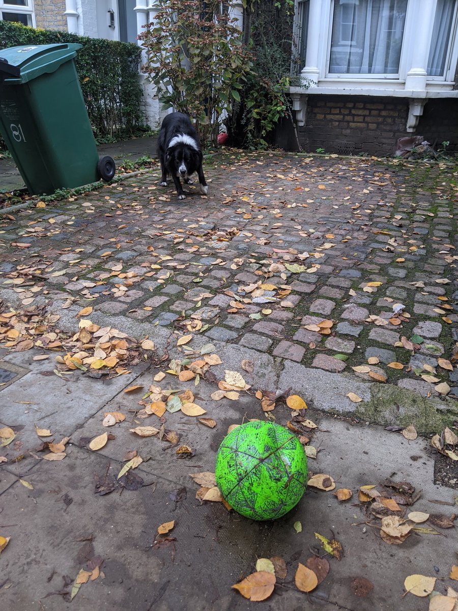 Unparalleled intensity. Ruthless efficiency. He destroyed the ball over and over and over.I played with him for over ten minutes.