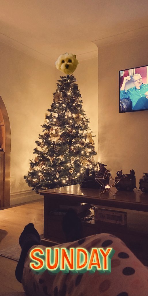 🎅 A productive Sunday in the Joy Household in Killorglin, Co. Kerry ❤ #hadtobedone #christmasdecorationsup #christmastree #Christmas
 #christmasiscoming #in #killorglin #kerry <a href="/radiokerrynews/">Radio Kerry News</a>  <a href="/rtenews/">RTÉ News</a>