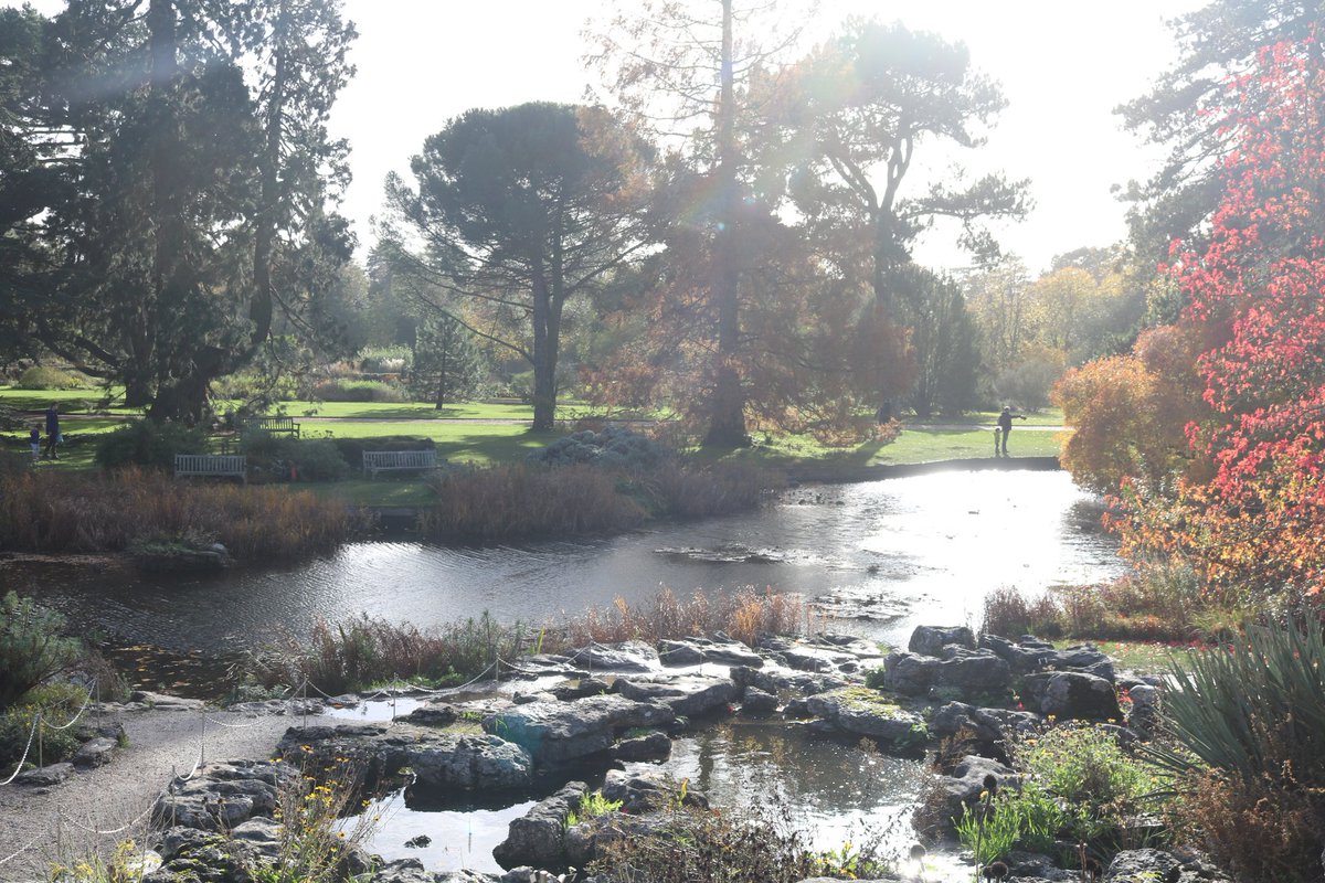 trash_chronicle's tweet photo. Had such a lovely day at the Cambridge #botanicgarden! Was amazing to see such a range of evolutionary adaptions in such a small area - a reminded of the crazy dynamic world we live in! @ellagracehenry https://t.co/NWTFNyQpuE