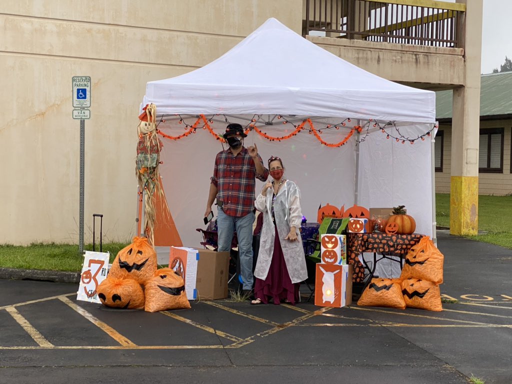 Debbie Collins tweet media