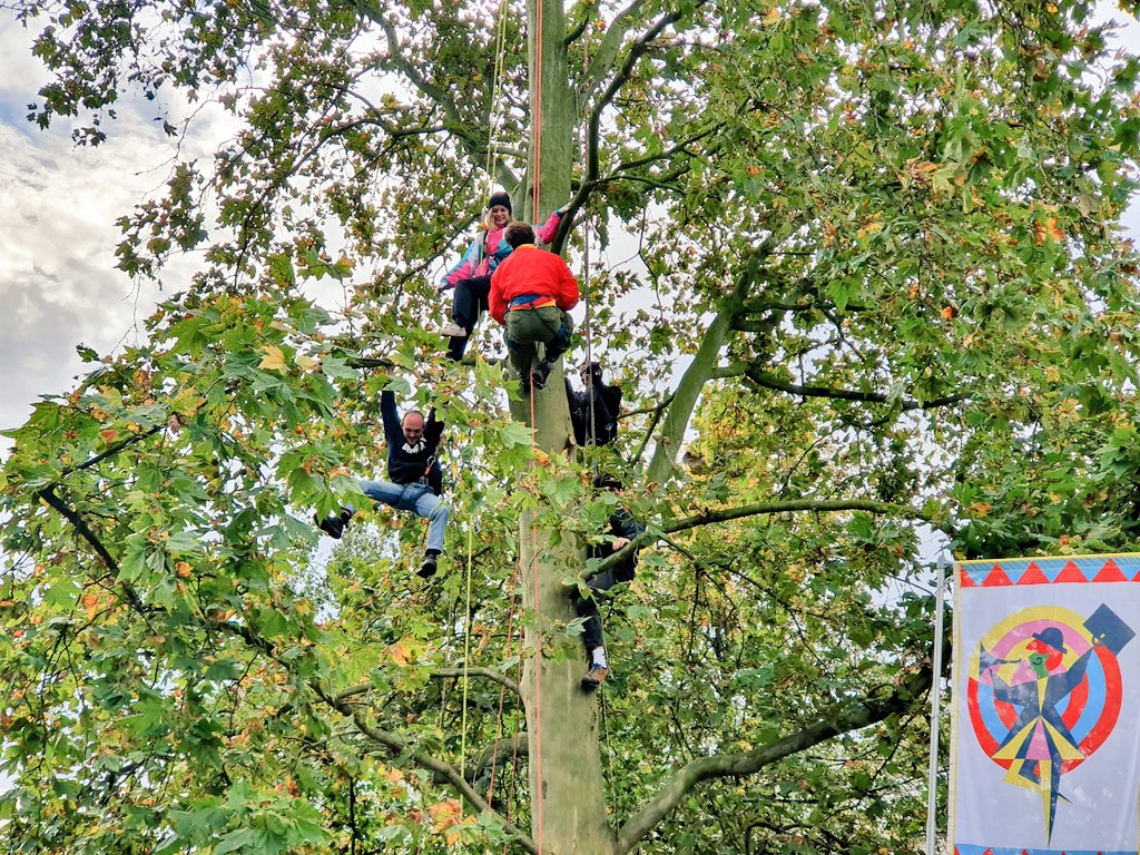 Meer bewustwording van de bomen in de stad? Stadsboswachter maakt met 5 jonge kunstenaars een voorstelling in de boom.