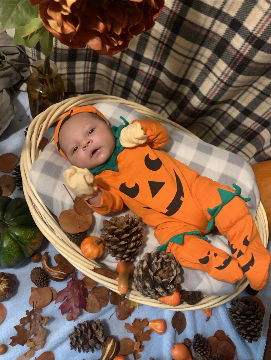xluvdayx's tweet photo. I know Iβm late but I had to show yβall my Pumpkin #3weeksin ππΆπ½π§‘ https://t.co/SR647K2E2v