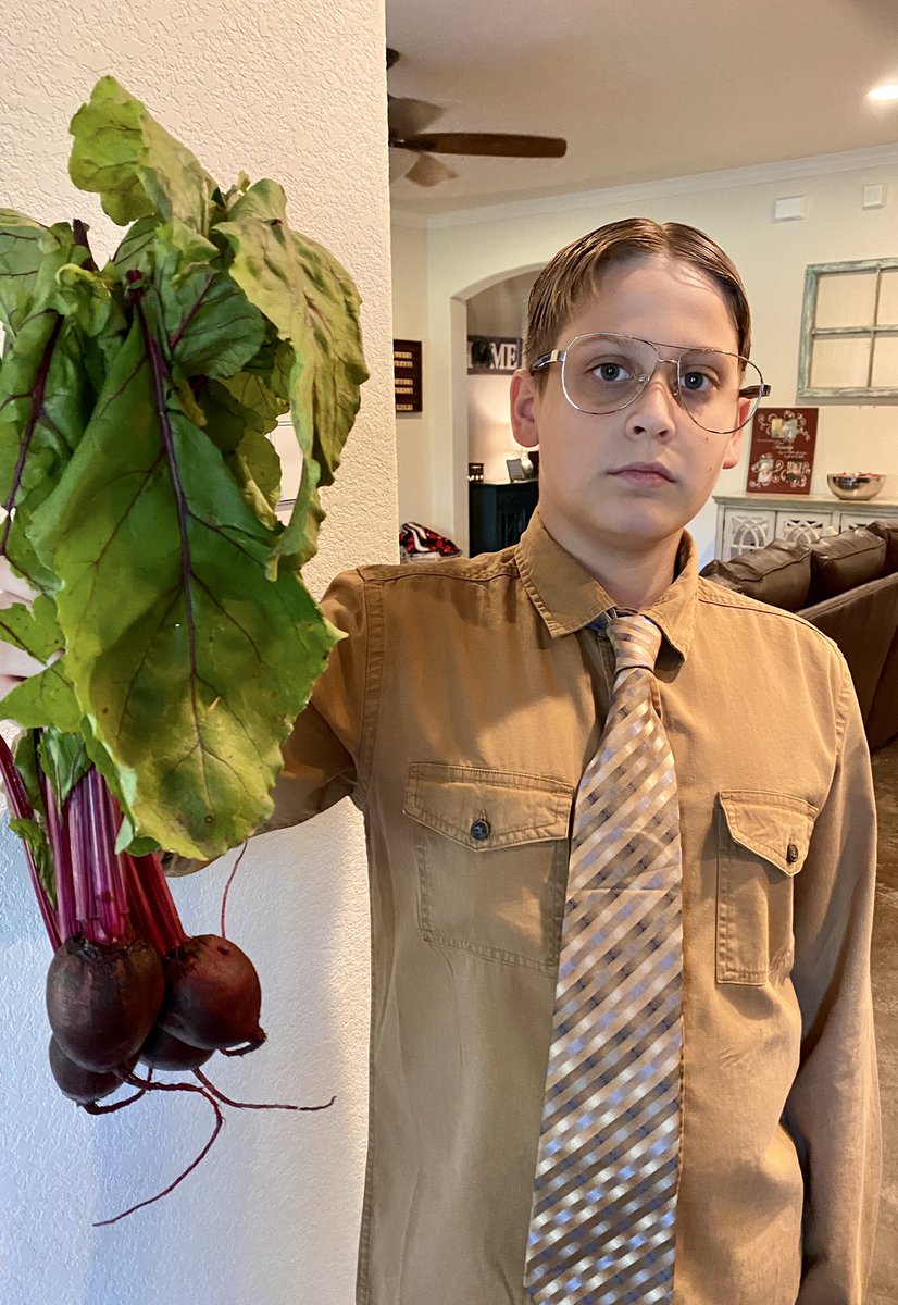 #Dwightoween  my 11 yr old nailed it. Best thing to come out of 2020.