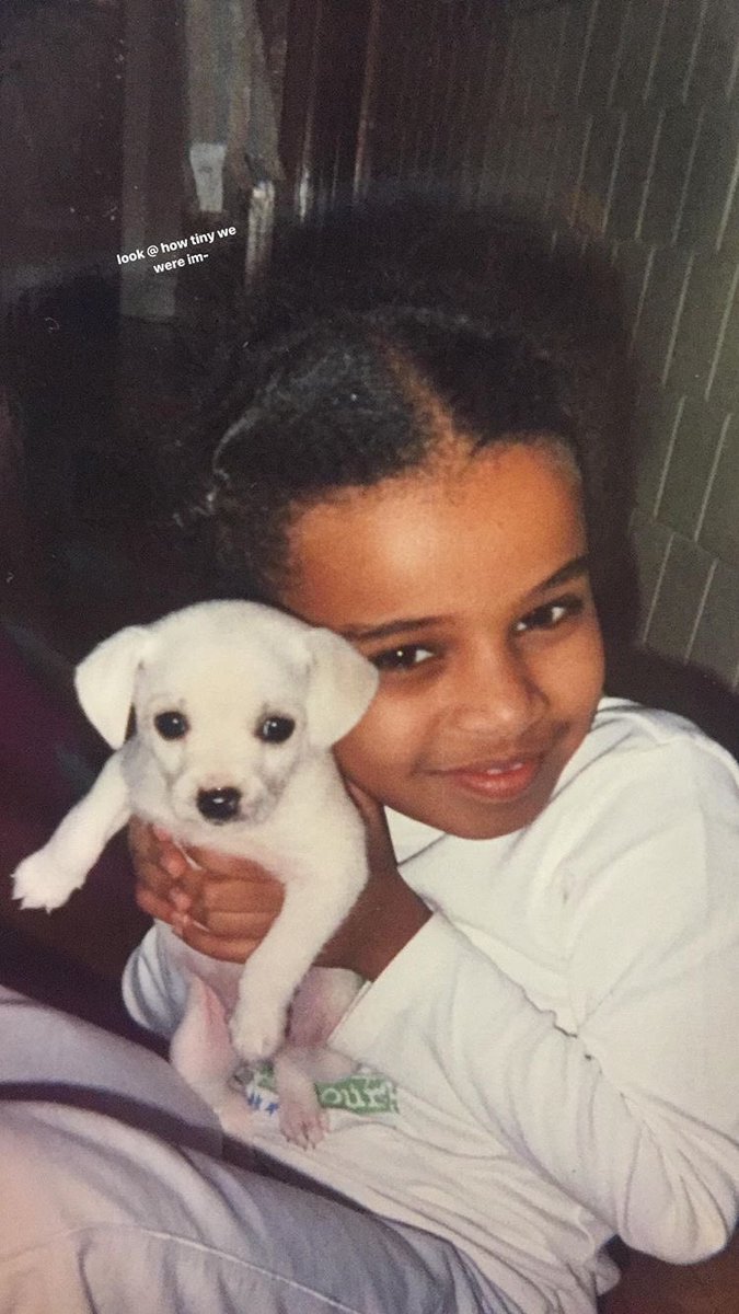 itstinbit's tweet photo. my baby Toast turns 14 today!!! relaying all birthday wishes and head pats ☺️💓 https://t.co/caKEbhx1UL