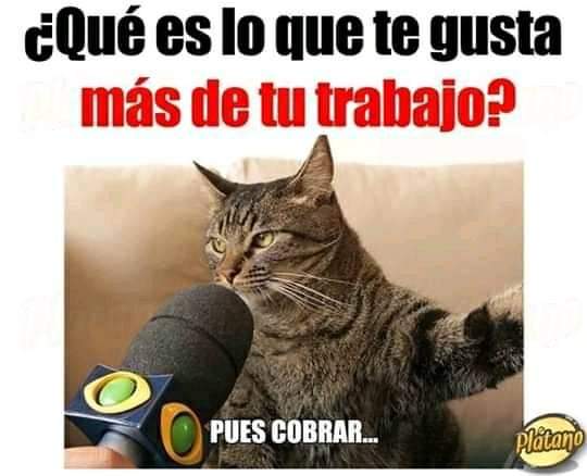 @Ivettelvarez5 @CamilomMartinez @fabiochapman @orlandoQva @MarcoSerrano80 @PepeAntD @CamiloTR85 @GonzalezKamila @AndydeCuba1 @ana_alicia_m3 #FelizDomingo Recibiendo el mes de Noviembre con alegría 🤣😂😂👉 Aquí va mi meme 🤗