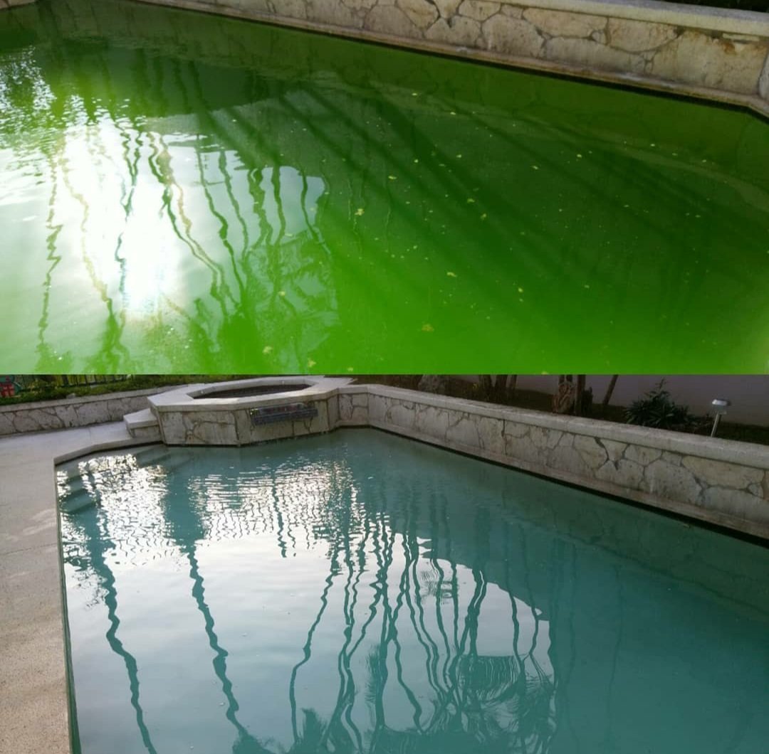 PoolRobinson's tweet image. Solo nos tomará 24hrs para estabilizar su piscina.😎 Contactenos.