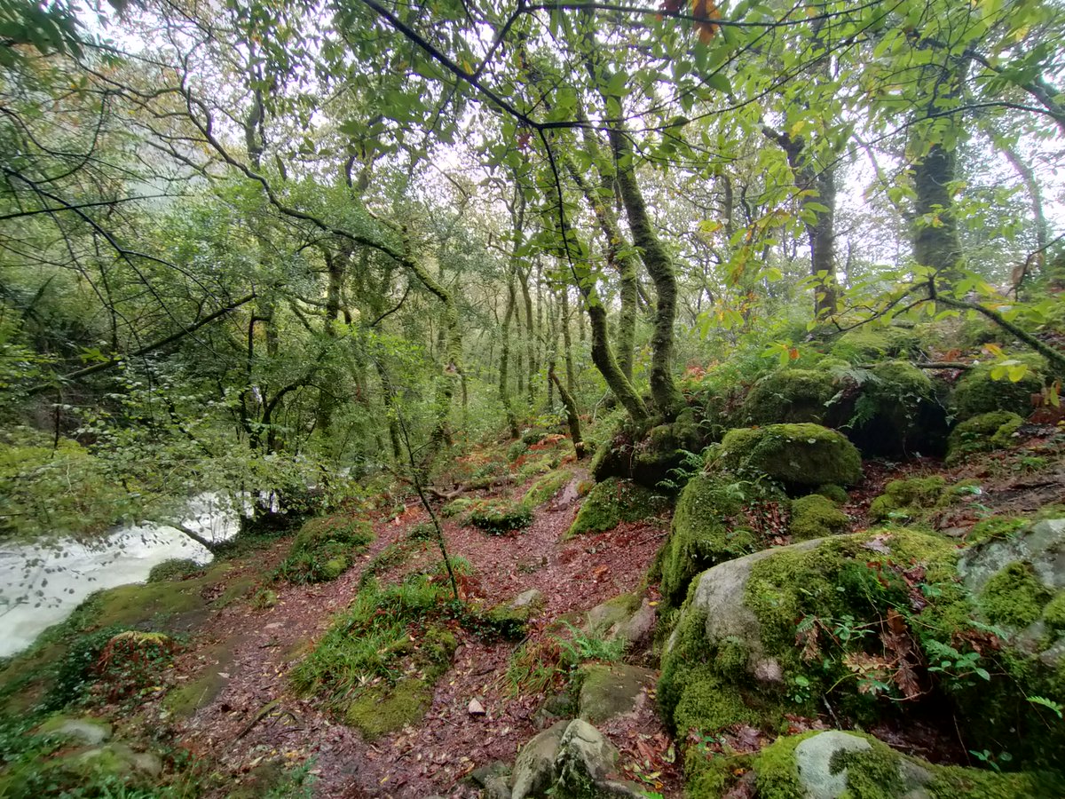 Alberto Ribas tweet media