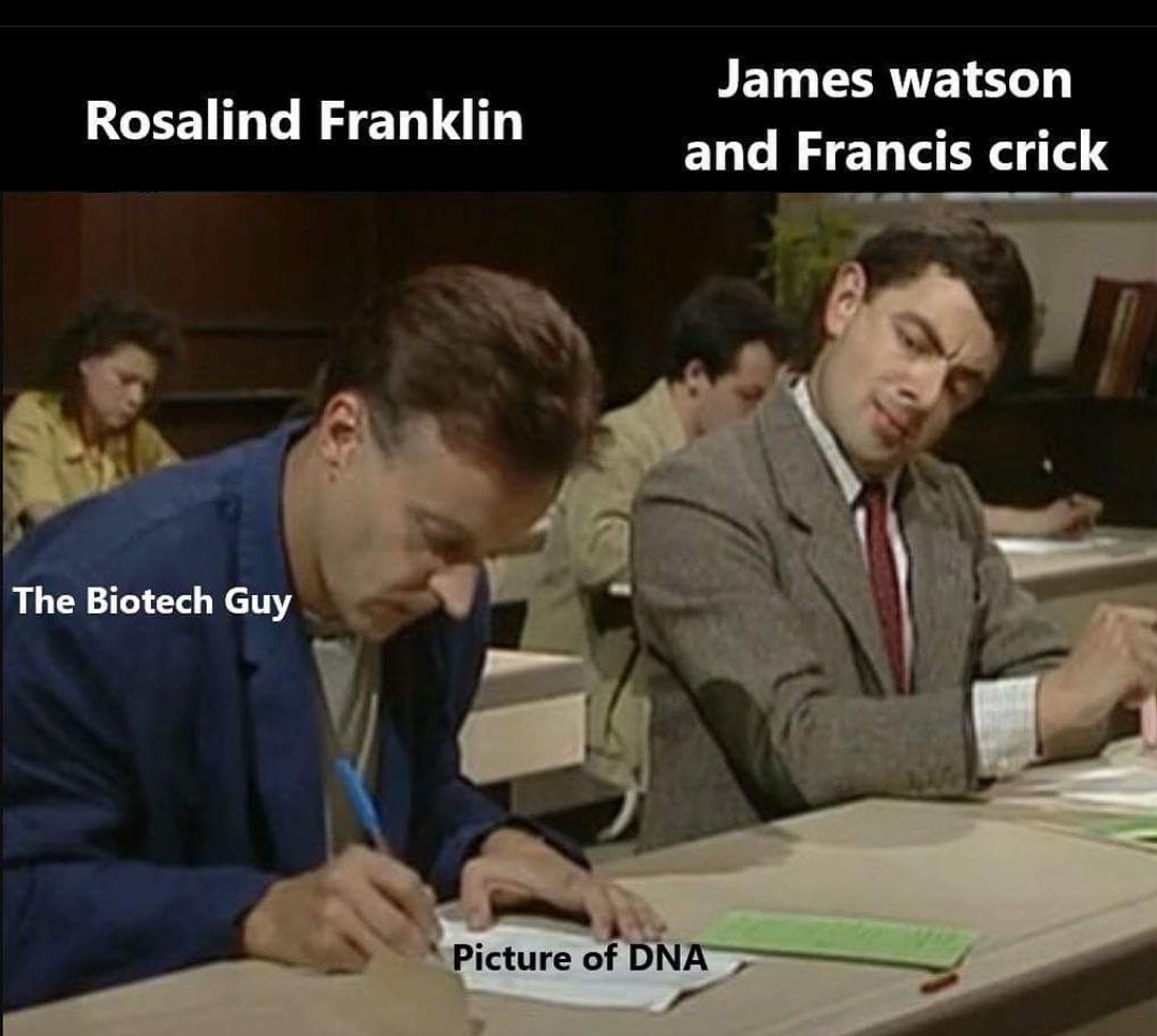 jmjoaomarcoz's tweet photo. Hurtfully accurate?! 
#openacademics
#phdchat
#phdlife 
#PhD 
#DNA https://t.co/AX8bmzMBfD